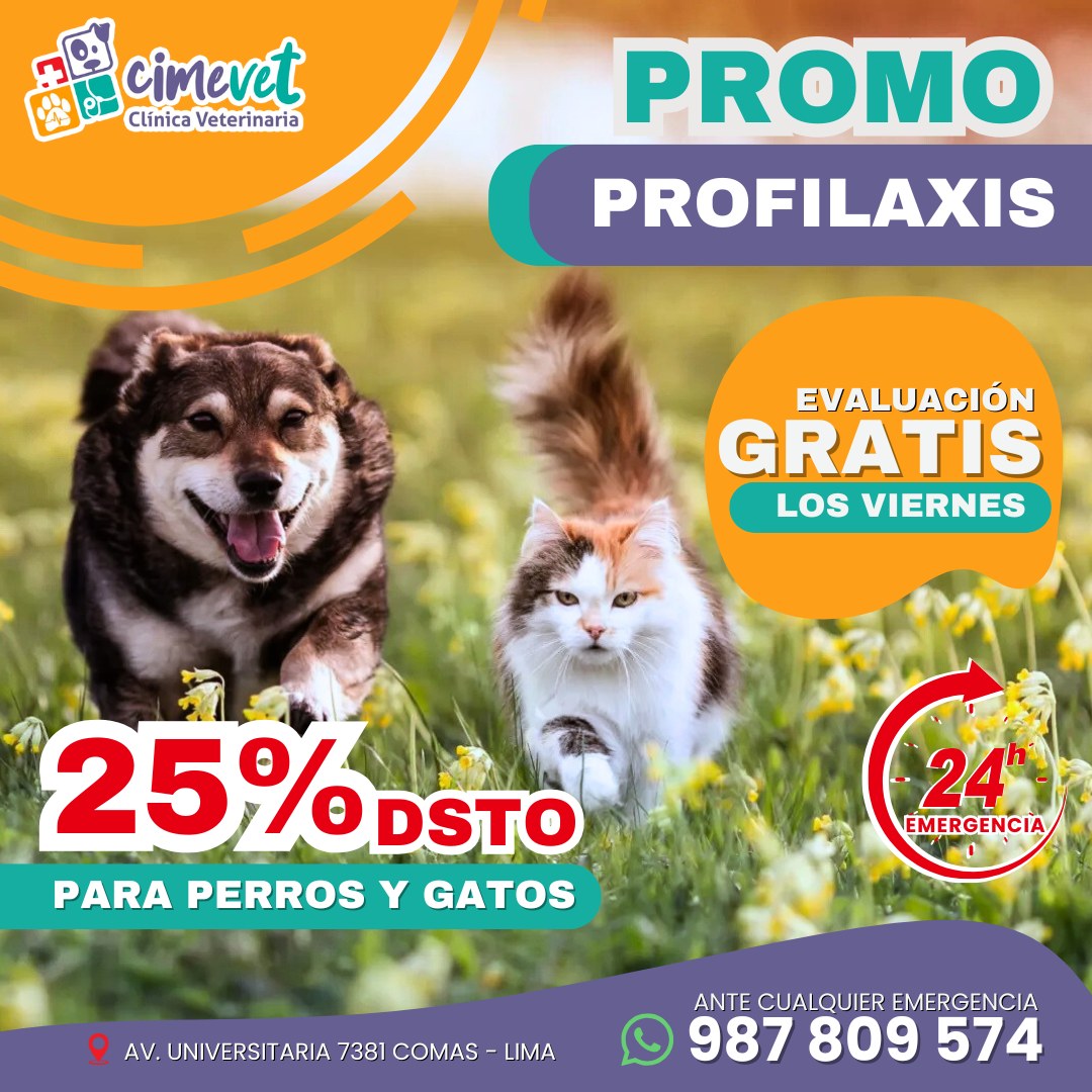 ✨ ¡PROMO ESPECIAL DE PROFILAXIS! ✨