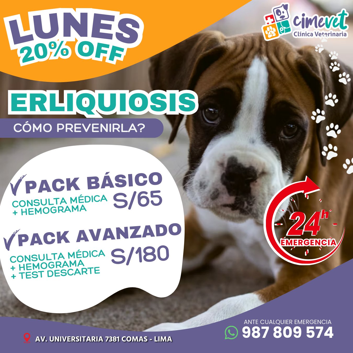 PROMO SALUD PREVENCION ERLICHIOSIS